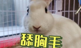 吃瓜爆料抖音网红搞笑,笑料百出引人捧腹